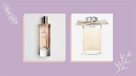 dupe for chloe nomade|zara chloe dupe.